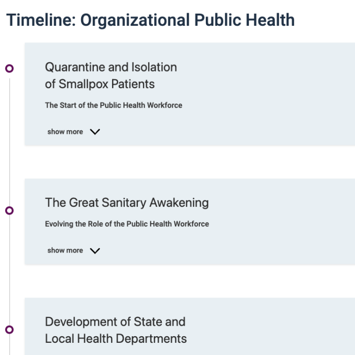 Screenshot of the Organizational Public Health Timeline