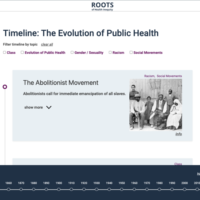 Screenshot of the Public Health Timeline