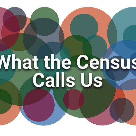 screenshot of what the census calls us page