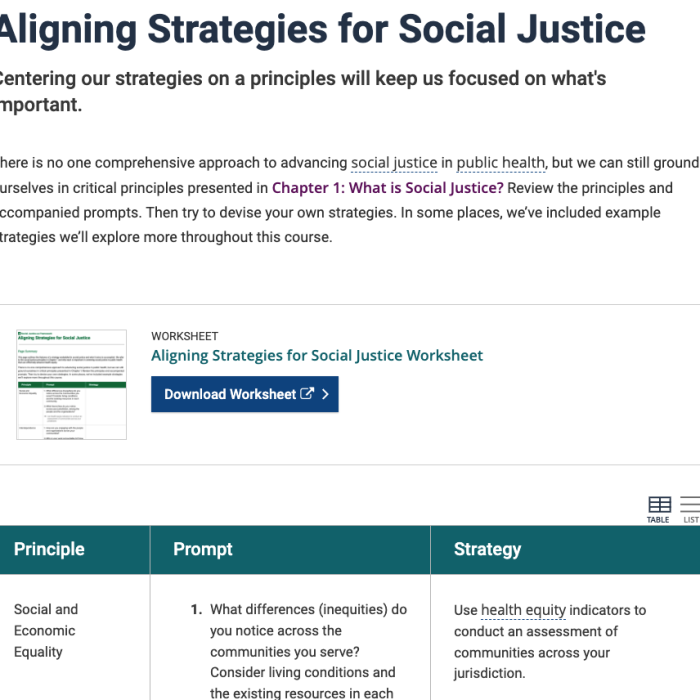 screenshot of aligning strategies for social justice page
